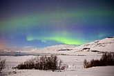 Northern Lights   Iceland : Iceland