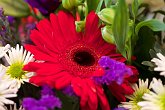 Red gerbera bouquet   @ Bina's engagement