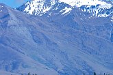 Sailing on the lake   In Wanaka : awesome, beautiful, lake, landscapes, mountains, New Zealand, NZ, sailing, scenery, snowcapped, stunning, wanaka, water, waterspouts