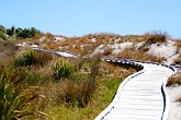 Beach boardwalk : awesome, beach, beautiful, boardwalk, dunes, landscapes, New Zealand, NZ, path, scenery, seaside, stunning, trail