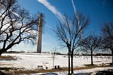 The Washington Memorial behind the trees   Washington DC : DC, United States, Washington, Washington DC, america, capital, snow, tourism, tourist, travel, usa, winter