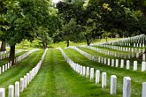 Arlington National Cemetary : DC, United States, Washington, Washington DC, city, holiday, hot, summer, sun, travel, usa